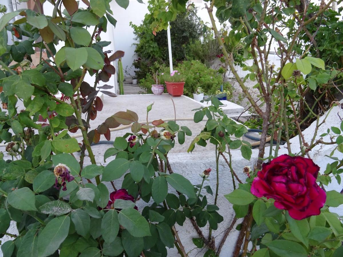 Andreas Studio With Private Parcking Apartment Triovasalos Bagian luar foto